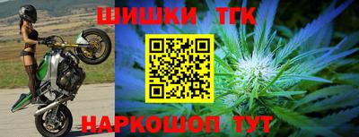 тгк Гусев