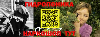 тгк Гусев